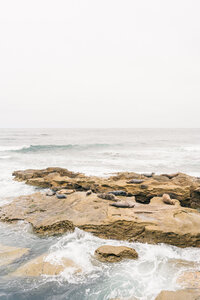 Rocks in the Pacific Ocean with seals on them.