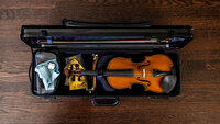 Violin Case
