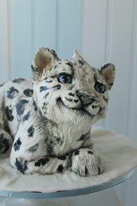 Baby snow leopard cake, sculpted animal cake
