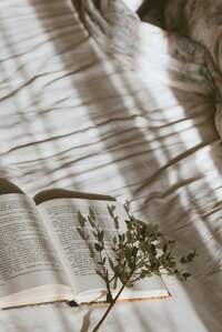 Photo of an open book laid on a white bed with a green plant resting across it