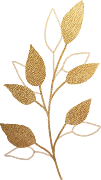 alignement mission d’âme guidance intuitive