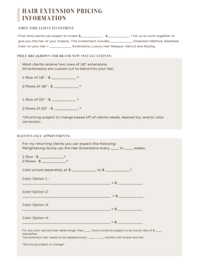 HAIR EXTENSION APPLICATION 2