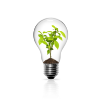 A light bulb with a thriving plant inside, symbolizing the transformative growth and positive change clients experience through my services.