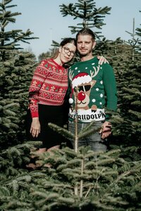 Couple standing close together among Christmas trees, wearing playful holiday sweaters—one red and one green with a reindeer design.