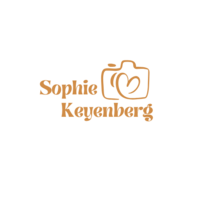 Logo Video Vibes wit