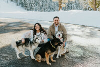 Family photo in Rexburg, Idaho of a man and a woman and their 3 dogs - 2 huskies and a rottweiler. They're standing in the middle of a road with snow and snowy trees behind them.