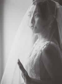 bride under the veil photo