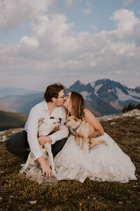 A eloping couple celebrating their elopement together with their dogs on top of a mountain