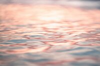 Calm pool of water with sunset reflecting off of it