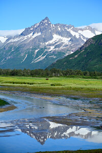 Majestic mountain in Hallo Bay, AK with reflection in stream on a summer day. Image captured by Beth Benecki of E. Benecki Photography.