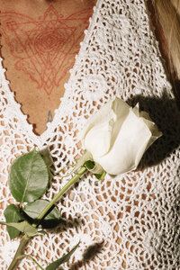 white rose against white lace