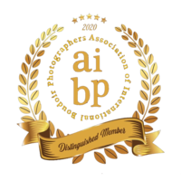 2020_Badge_AIBP_Members