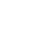 Logo_LVTguy-white