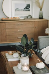 White flower vase adorned with lush green leaves in a cozy home with brown and white interior