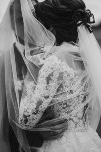 getty-images-beGKdpbF0ZA-unsplash