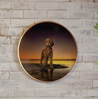 newcastle pet photographer 
