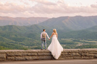 couple holding hands at the foothills while looking over the valley below with the Smoky Mountains in the distance captures by gatlinburg photographers as they elope to Gatlinburg 