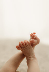 Book your newborn photography session in Jacksonville, FL, Fleming Island, FL, and Middleburg, FL for beautiful, high-quality images.