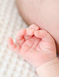 A detail image of a newborn hand during a photoshoot in Amsterdam.