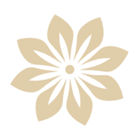 image d'une fleur des îles