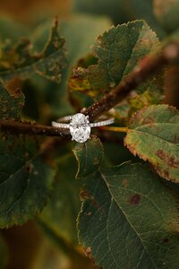 Wisconsin Engagement Photographer_0183