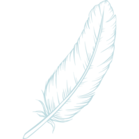 Feather