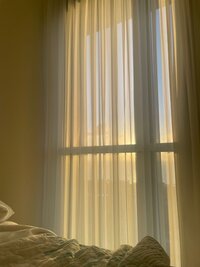 Golden sunlight streaming through sheer curtains in a cozy bedroom, illuminating soft bedding in the foreground.
