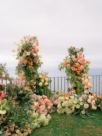 White blossoms from Erasmuspark in the spring.