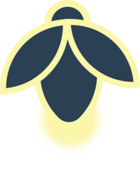 Single Firefly@4x