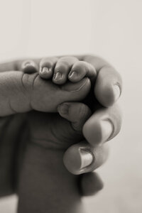 Kentucky Studio Newborn Photographer
