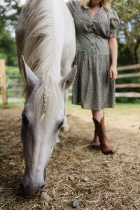 Close-up of a white horse gently grazing, a quiet, grounding moment in nature