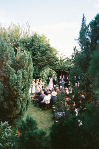 Film photograph by a Tampa Florida photographer