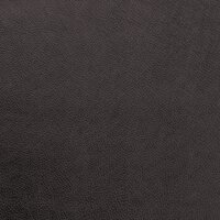 Raven Metallic Leather