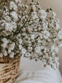 Brand photo of baby's breath in a basket