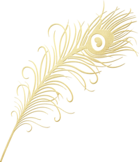Gold Foil Peacock & Feathers ClipArt (21)