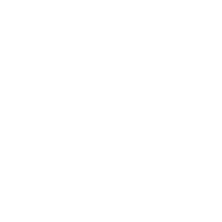 Globe icon in white