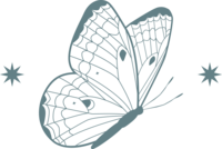 Butterfly brandmark symbolizing mid-life crisis recovery. This elegant design represents transformation, renewal, and personal growth through supportive coaching and guidance.