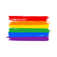 LGBTQIA+ Flag