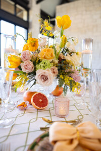 SouthernBride-TheHillCountryPavilionandLawn-LomonicoPhotographybyChristineMarieScott--16