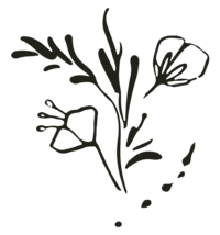 floral illustration