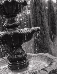 Black and white photo of a serene fountain surrounded by lush greenery in a tranquil garden setting.