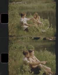 super 8 couples in a field