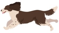 animated graphics of a springer dog