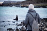 Old man watches sea lion come up to the rocky shore