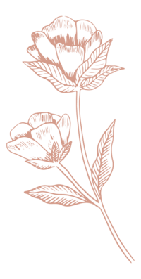 floral rose illustration