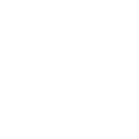 mindset coaching program