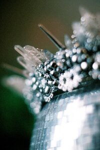upclose detail shots