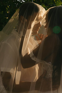 Sunset veil portrait by Southern California wedding photographer