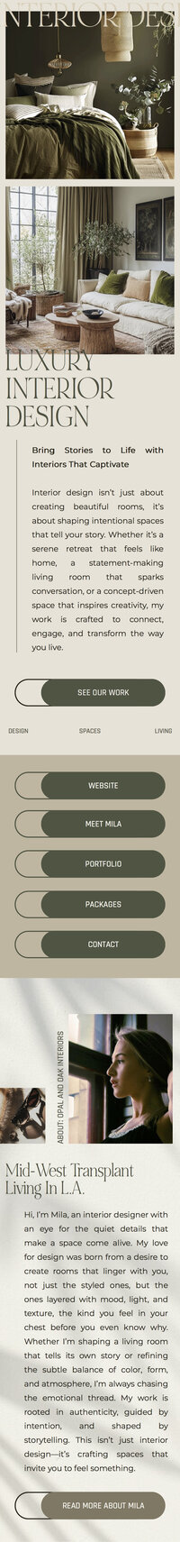long screenshot of a website that the designer made