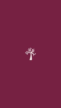 Tree emblem on an Instagram highlight cover.